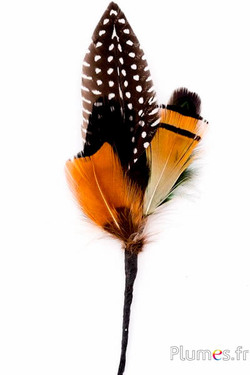 Composition en plumes n° 3 - longueur 12 cm - naturel